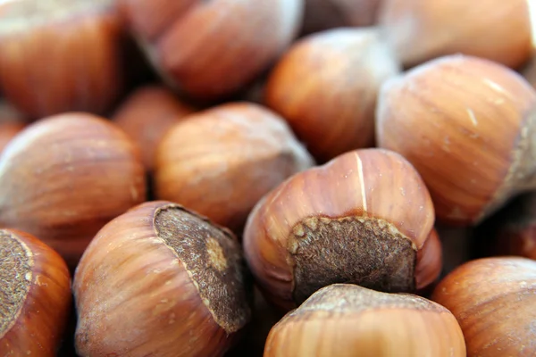 Walnuts close-up — Stock Photo, Image