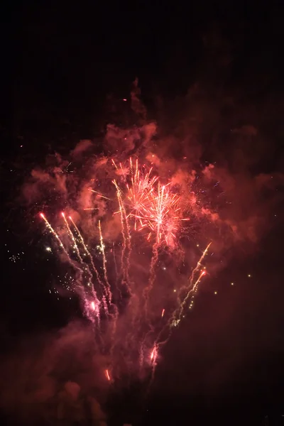 stock image Fireworks on the sky