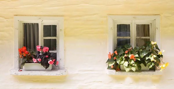 Dvě venkovských okna — Stock fotografie