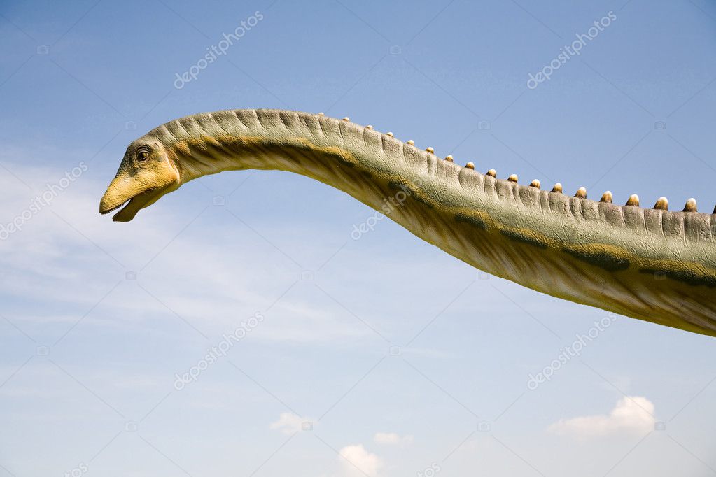 long neck dinosaur diplodocus