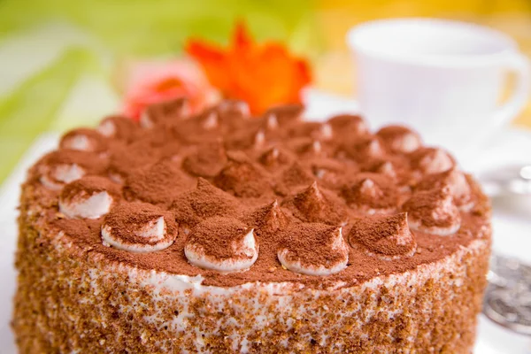 Läcker tårta — Stockfoto