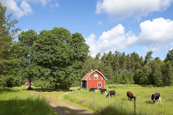 Eski İsveççe'yi çiftlik evi — Stok fotoğraf