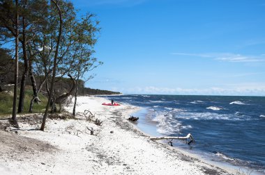 Empty Beach with a single person clipart