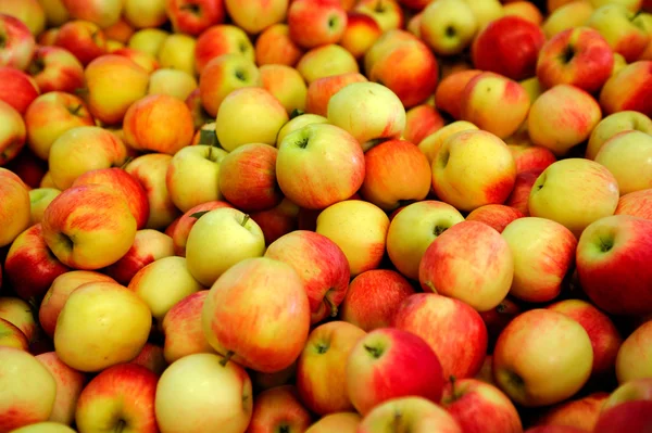 Žluté a červené jablko — Stock fotografie