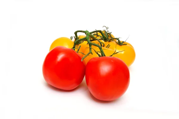 Tomates vermelhos e amarelos — Fotografia de Stock