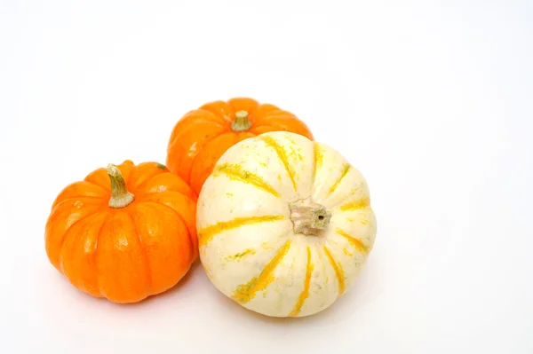 Decorative Pumpkins — Stock Photo, Image