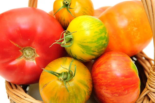 Kleurrijke erfstuk tomaten — Stockfoto