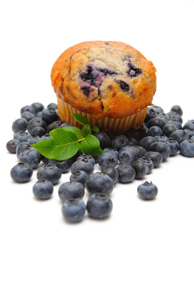 蓝莓松饼 — 图库照片