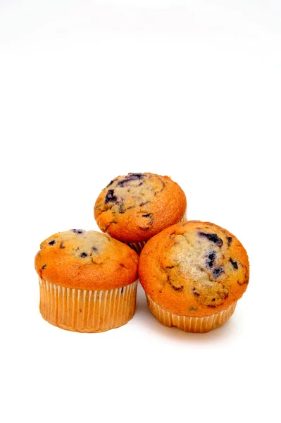 Borůvkové muffiny — Stock fotografie