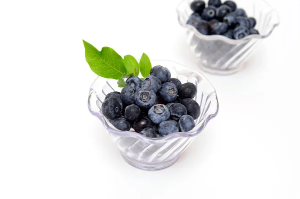 在明确碗蓝莓 — 图库照片