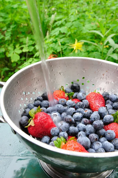 蓝莓和草莓 — 图库照片