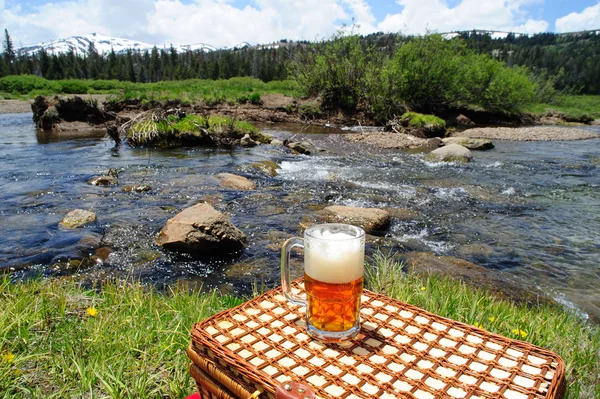 Bier und Natur — Stockfoto