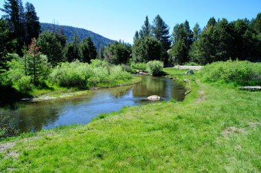 Sierra Stream And Meadow clipart