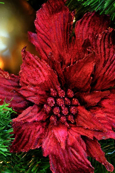 Poinsettia Christmas Tree Decoration — Stock Photo, Image