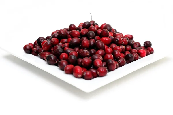 Cranberry On White — Stock Photo, Image