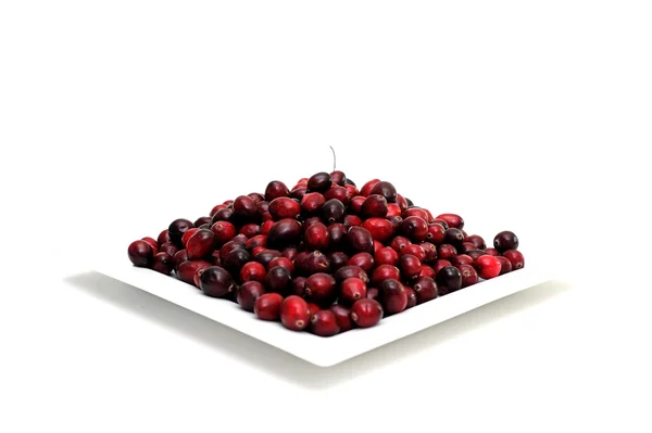 Fresh Cranberry — Stock Photo, Image
