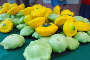 Pattypan or Sunburst Squash clipart