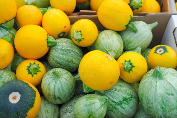 Groene en gele squash — Stockfoto