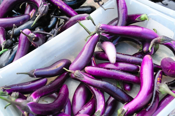 Japanese Eggplant — Stock Photo, Image