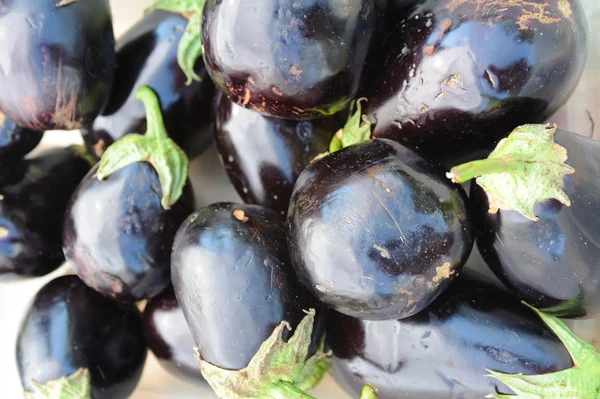 stock image Eggplant