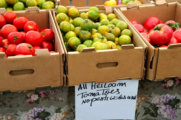 Boxed heirloom tomater — Stockfoto