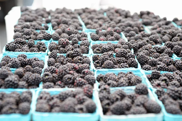 Blackberries For Sale — Stock Photo, Image