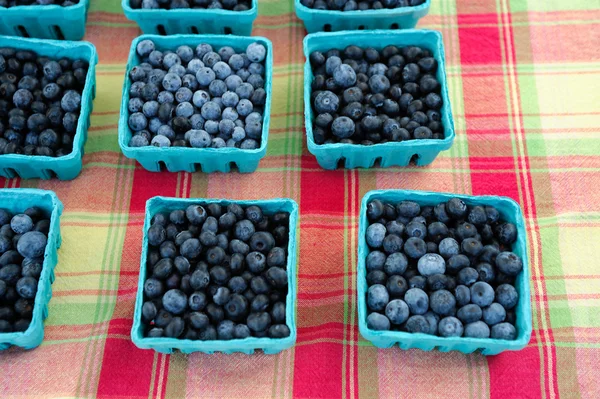 篮子里的蓝莓 — 图库照片