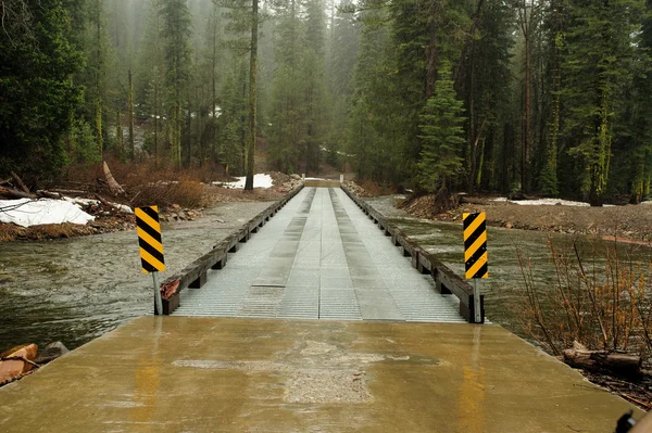 Forest River Crossing — Stock Photo, Image