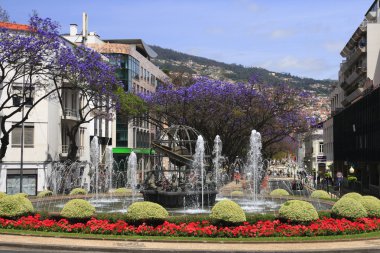 Fountain in Funchal clipart