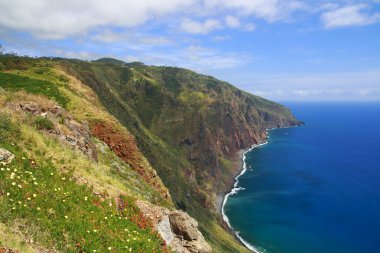 The south coast of Madeira clipart