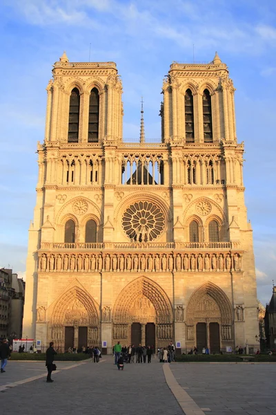 La catedral de notre dame in paris — Foto de Stock