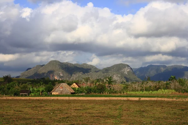 The Vinales Valley — Stock Photo, Image