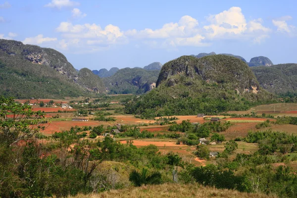 Stock image The Vinales Valley