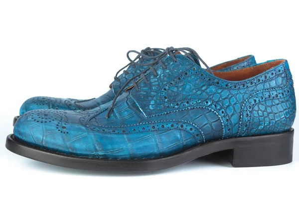 파란 신발 끈 — 스톡 사진