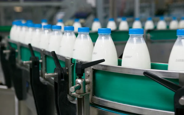 Süt fabrikası. — Stok fotoğraf