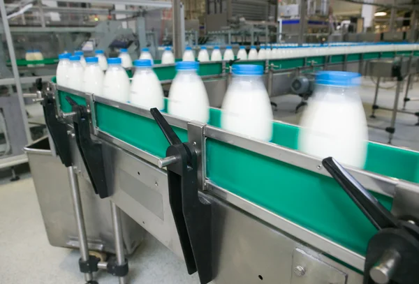 Süt fabrikası. — Stok fotoğraf