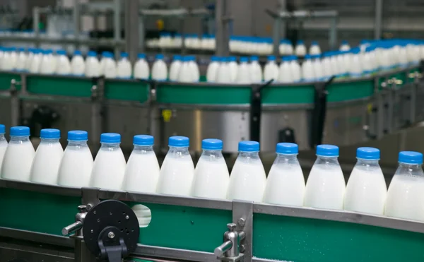 Süt fabrikası. Telifsiz Stok Imajlar