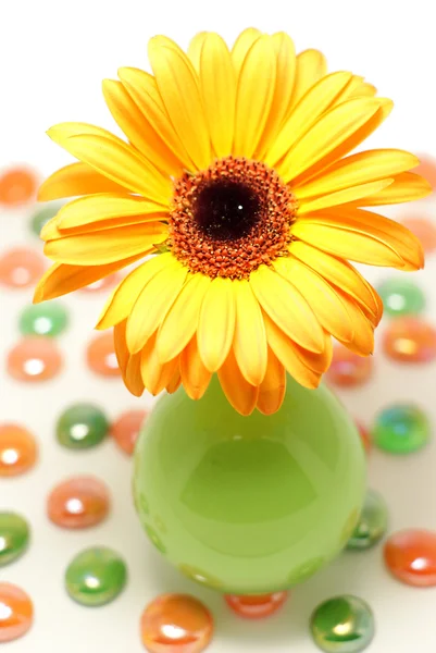 Çiçek vazo — Stok fotoğraf