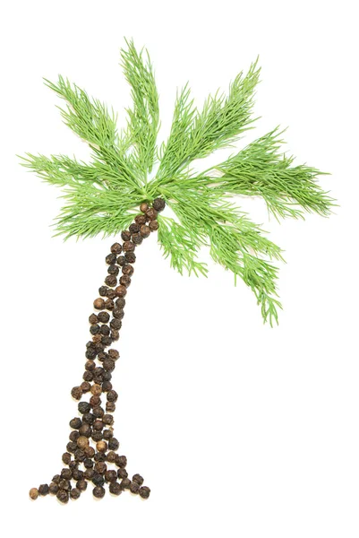 Spice palm — Stockfoto