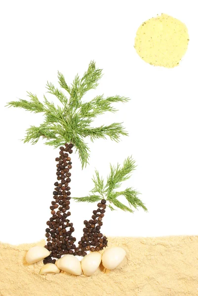 Palmier à épices — Photo