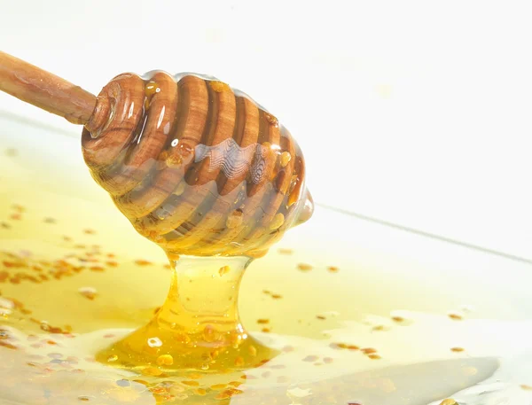 Honey and pollen — Stock Photo, Image