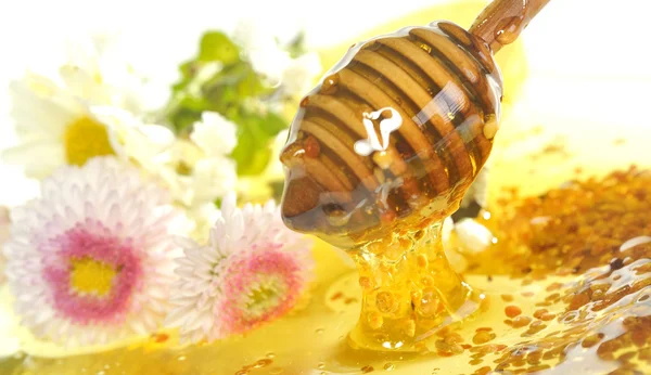 Мед и цветы — стоковое фото