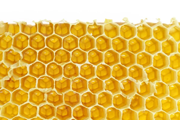 Fundo do favo de mel — Fotografia de Stock