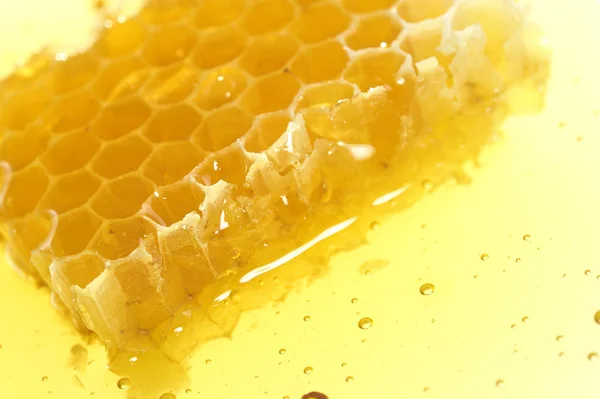 Honeycomb detalj Stockfoto