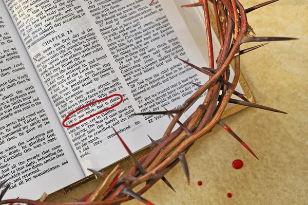 Corona de espinas en una biblia —  Fotos de Stock