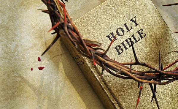 Crown of thorns on a bible — Stock Photo, Image