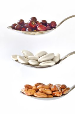 Different type of beans clipart
