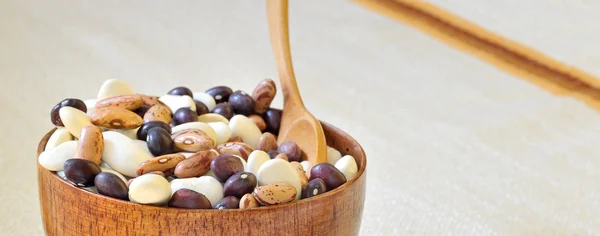 콩의 다른 유형 — 스톡 사진