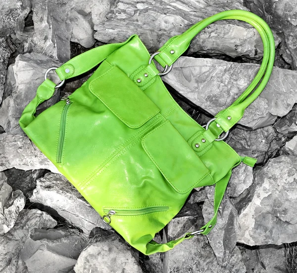 Female luxury bag — Stock Photo, Image