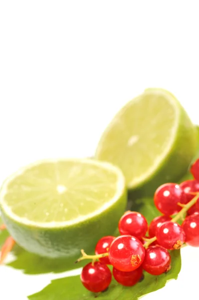 Lime with red currants — Stock Photo, Image
